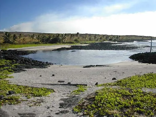Puna Coast Trail