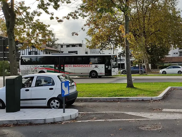 Le Basque bondissant
