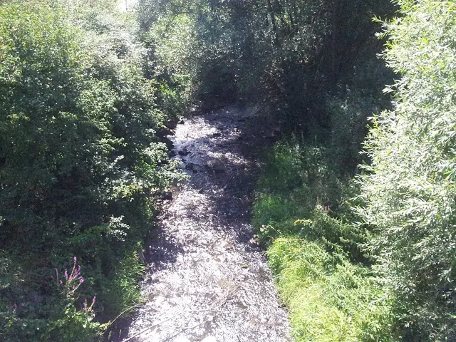 Roanne
