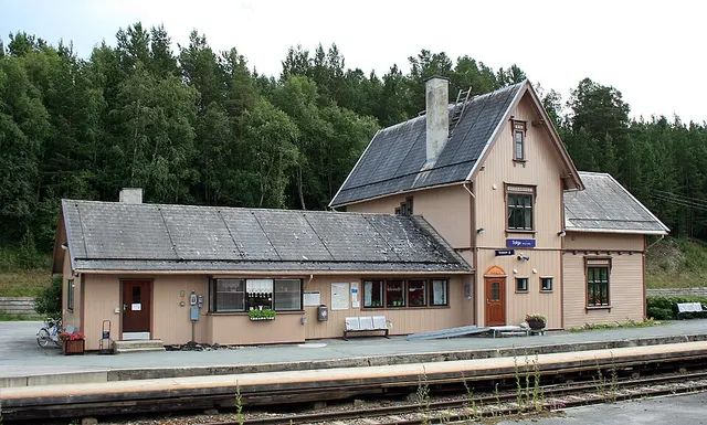 Gare de Tolga