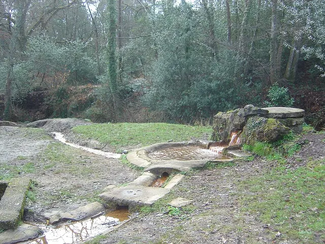 Landes de Bordeaux
