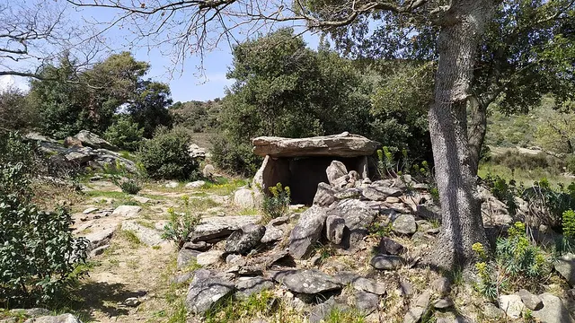 Dolmens du Mas Llusanes
