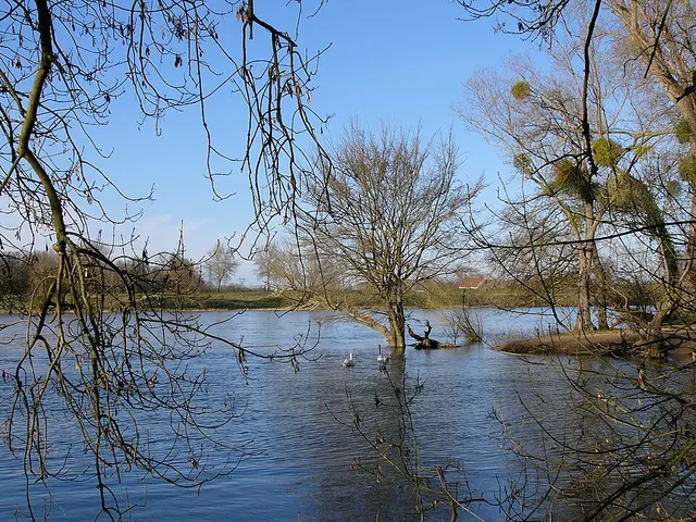 Réserve naturelle nationale de Saint-Mesmin