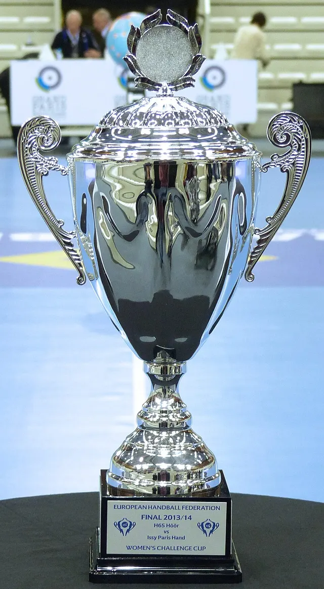 Coupe Challenge féminine de handball 2013-2014