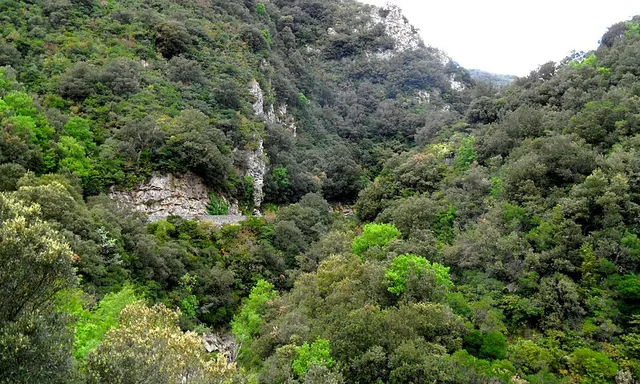 Gorges de l'Orbieu