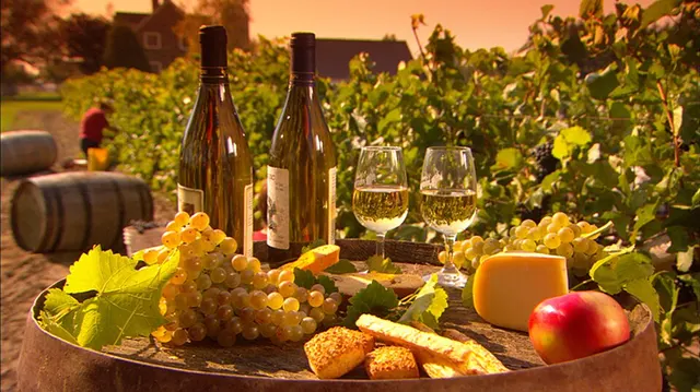 Route des vins de la Montérégie