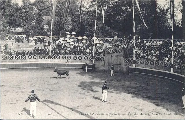 Arènes d'Orthez