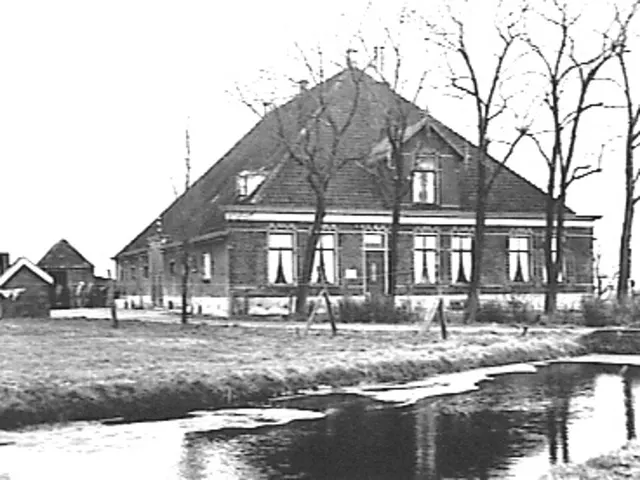 Het Schouw