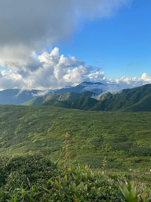 Montagne de la Capesterre