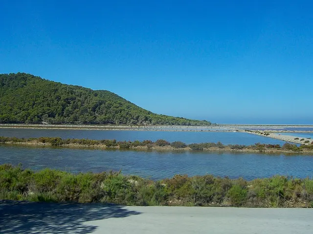 Parc naturel de Ses Salines