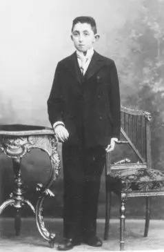 Carl Ehrenstein