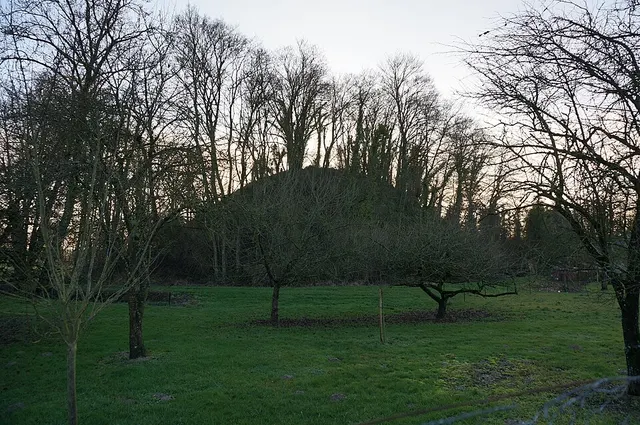 Tumuli de Bussy-le-Château