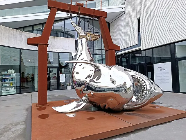 Musée Mer Marine Bordeaux