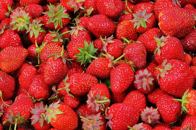Fraise de Nîmes