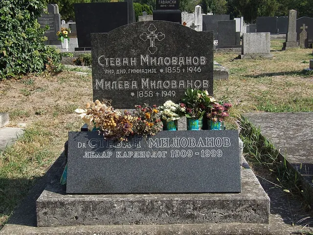Tombe de Stevan Milovanov